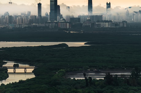 了解湿地：我们为什么需要称湿地为“地球之肾”？