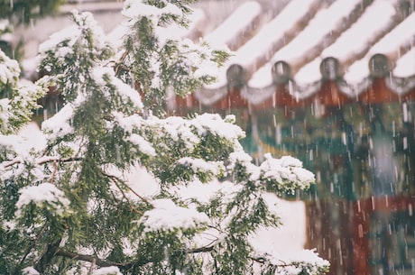 蒋雪儿(关于蒋雪儿，在爱情与事业中寻找平衡的故事)