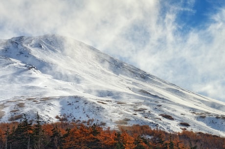 黄山毛峰(想看黄山美景？不要忘记黄山毛峰！)