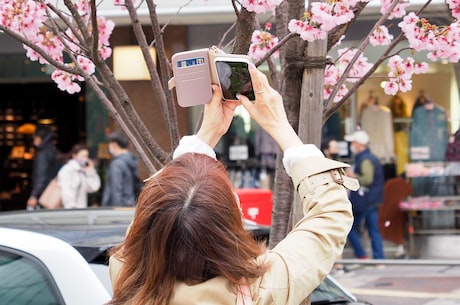 写在人生边上txt 不过草有根