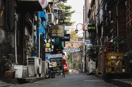 日本静冈县(日本静冈县的自然美景和文化底蕴)