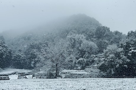 林杭景(揭秘林杭景的成长历程)